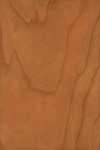 n9.jpg[11 ]